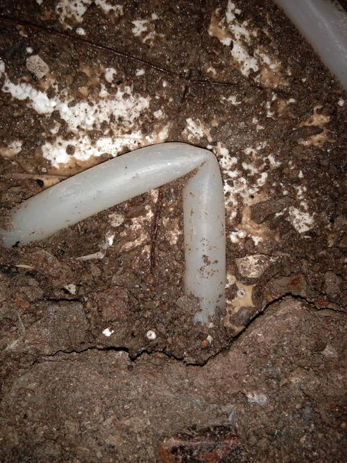 河间堵点精准查找